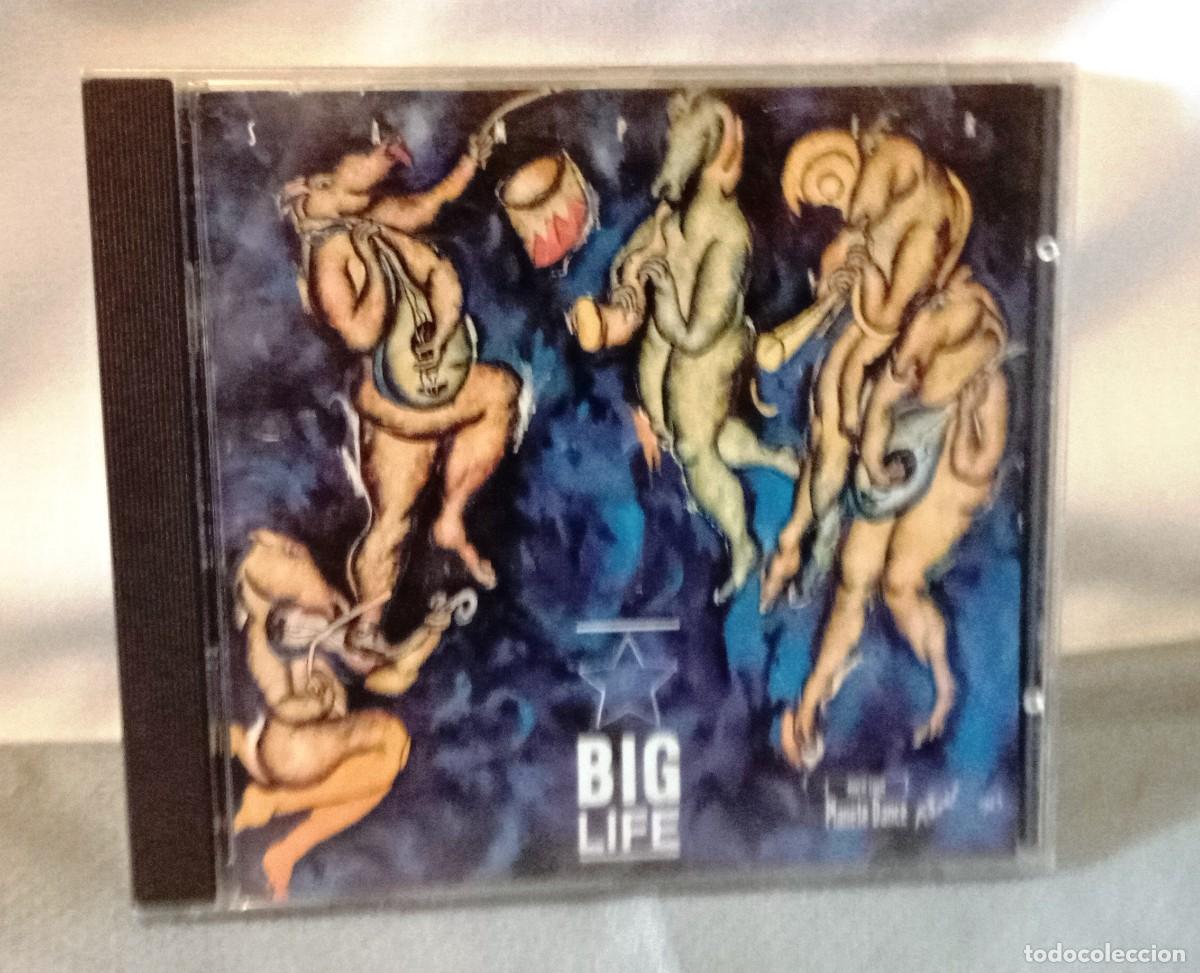 CDs de m&uacute;sica: Big Life Sampler. 1991. - Foto 1