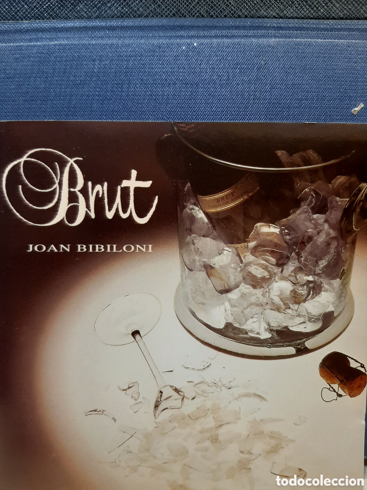CDs de m&uacute;sica: CD Brut - Joan Bibiloni - Foto 1