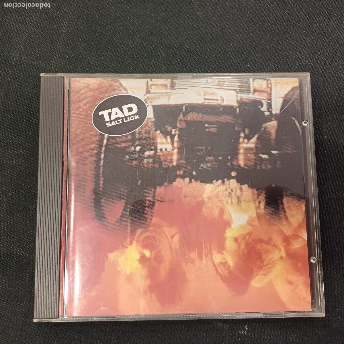 CDs de m&uacute;sica: TAD/SALT LICK/CD GRUNGE. - Foto 1