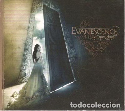 Musik-CDs: The Open Door- 0828768608227