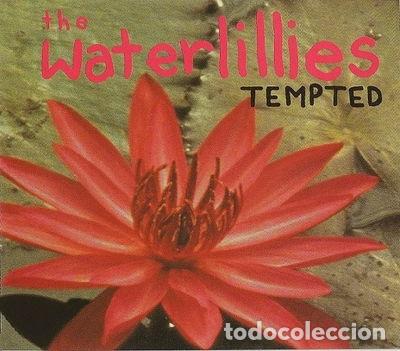 Music CDs: Tempted- 0093624120926