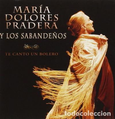 CDs de Musique: Te Canto Un Bolero- 0886973998526