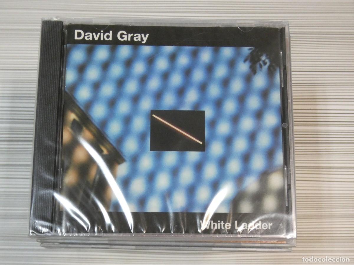 CDs de m&uacute;sica: PRCCPR ARKANSAS1980 LOTT679 CD ESTADO CORRECTISIMO - DAVID GRAY - Foto 1