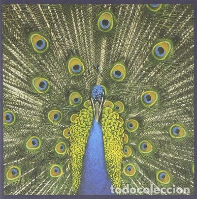 CD de M&uacute;sica: Expecting To Fly- 0731454047524