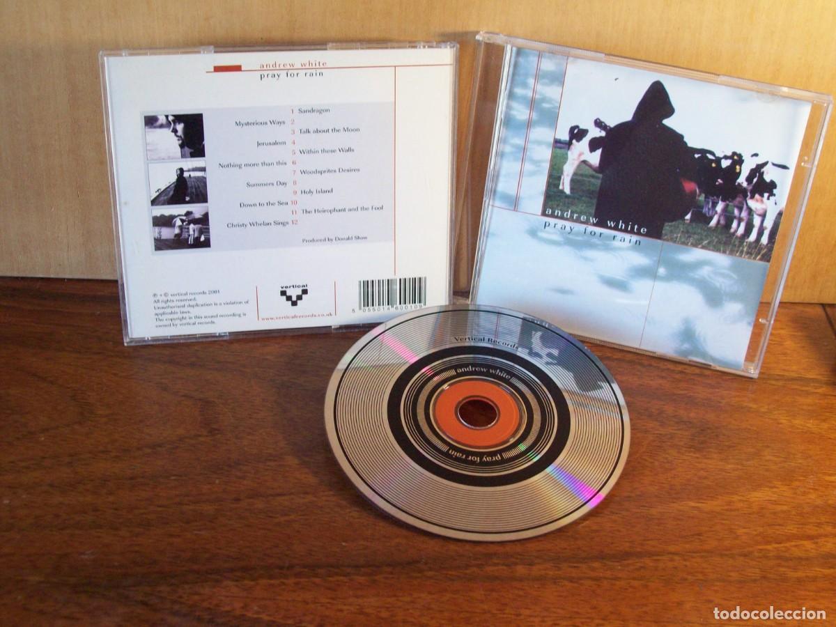 CDs de m&uacute;sica: ANDREW WHITE - PRAY FOR RAIN - CD - Foto 1