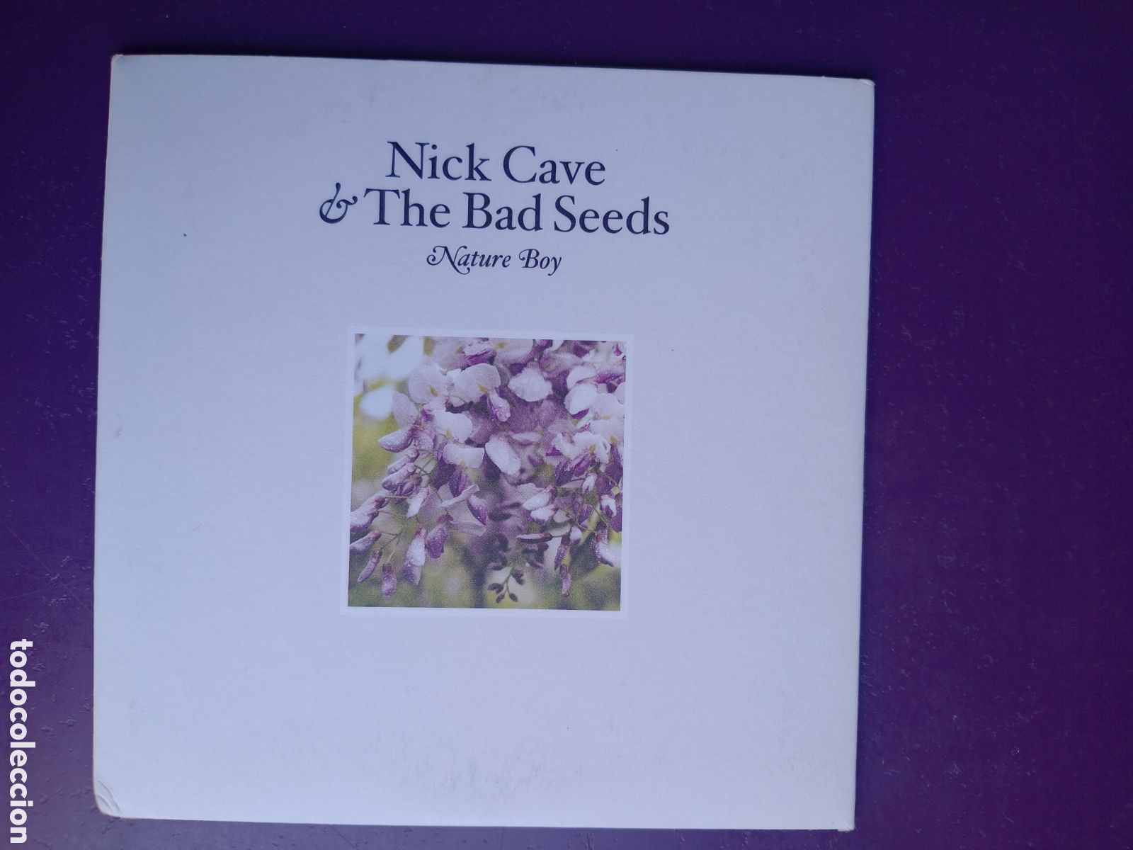 CDs de M&uacute;sica: Nick Cave & The Bad Seeds &ndash; Nature Boy - CD Sg MUTE 2 TEMAS 2004,