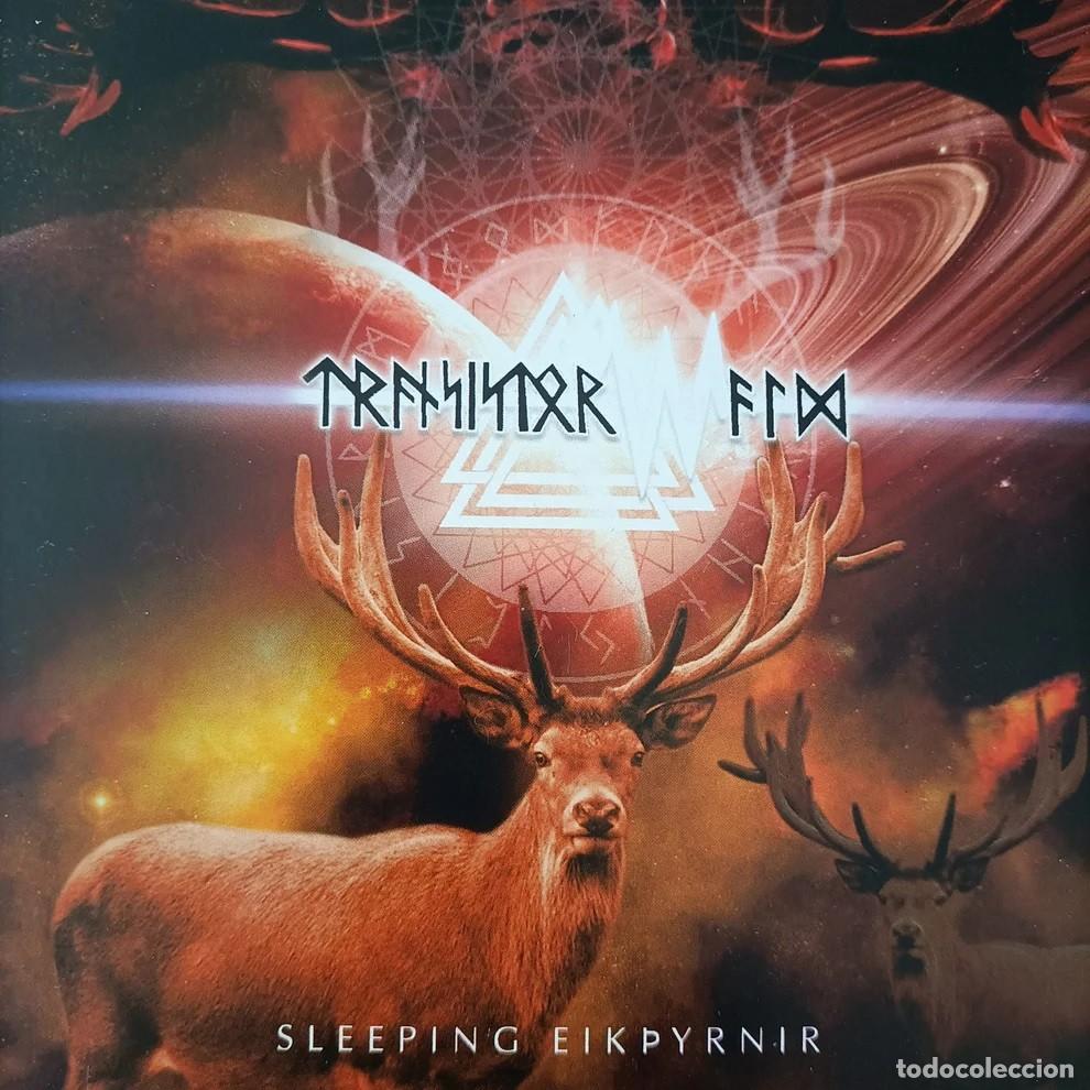 CDs de m&uacute;sica: Transistorwald &ndash; Sleeping Eiktyrnir - Foto 1