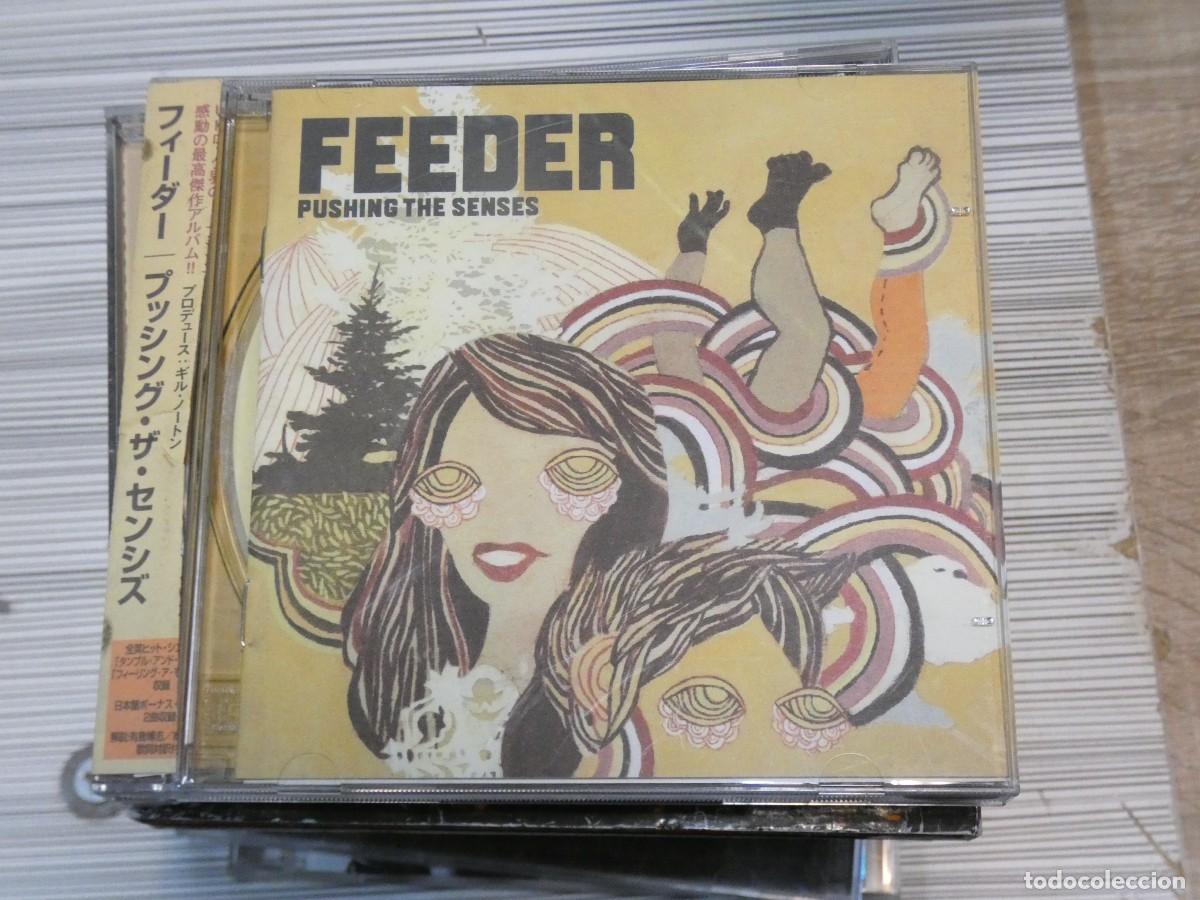 CDs de M&uacute;sica: ARKANSAS1980 PACC705 CD BUEN ESTADO FEEDER PUSHING THE SENSES