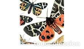 CDs de M&uacute;sica: Trestrece - Una Se&ntilde;al (CD, Album) Label:PuPilo Records Cat#: b-33593-2009