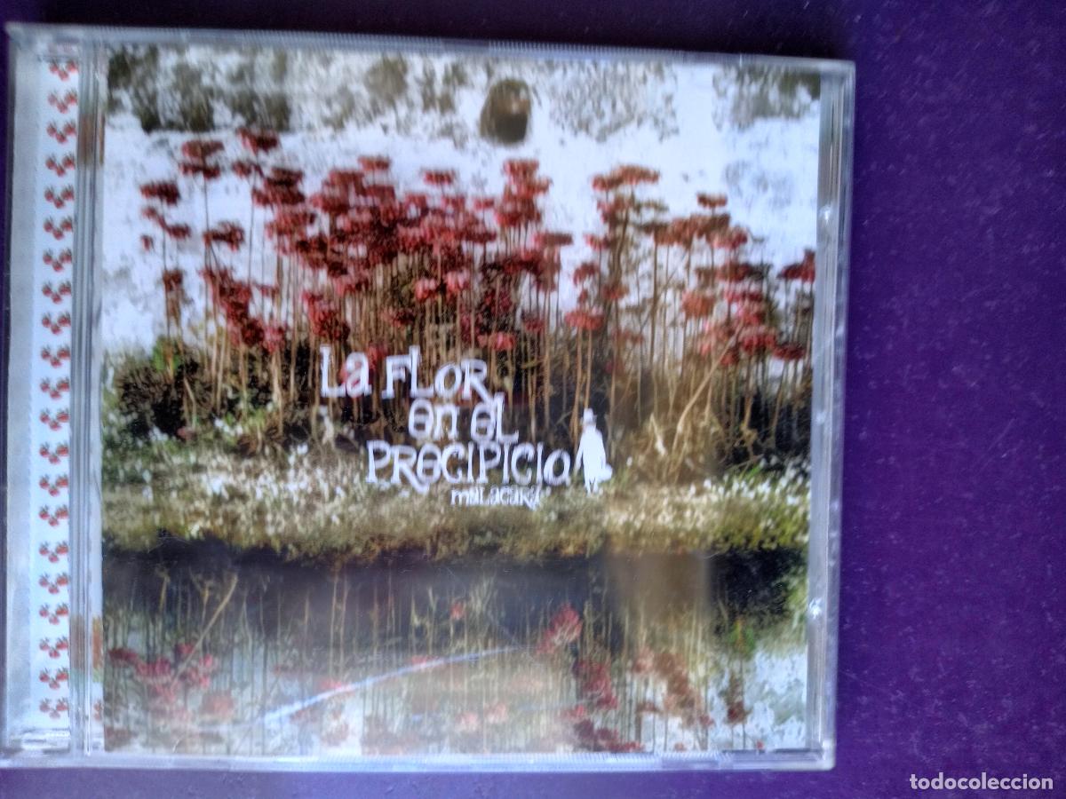 CDs de M&uacute;sica: MALACARA - LA FLOR EN EL PRECIPICIO - CD AUTOEDITADO 2007 - POP ROCK