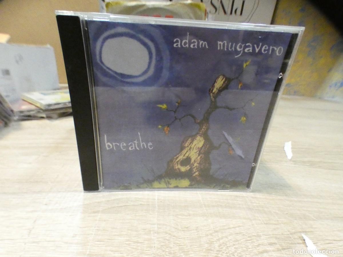 CDs de Musique: ARKANSAS1980 CAJJ704 CD MUY BUEN ESTADO ADAM MUGAVERO