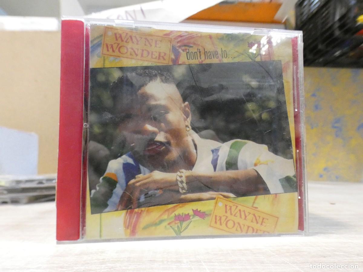 CDs de M&uacute;sica: ARKANSAS1980 CAJJ704 CD MUY BUEN ESTADO WAYNE WONDER