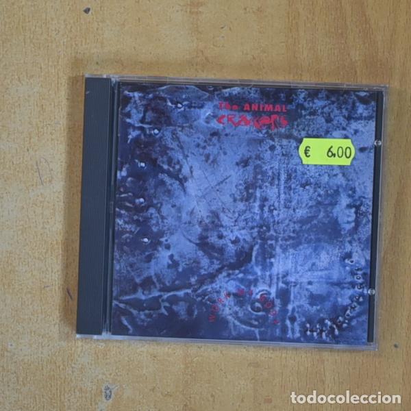CDs de M&uacute;sica: THE ANIMAL CRACKERS - WORK MY BODY - CD