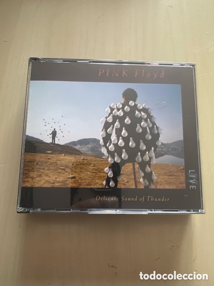 CDs de M&uacute;sica: Acd84 pink floyd delicate sound of Thunder CD segunda mano