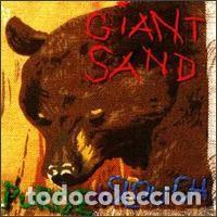 Music CDs: Giant Sand - Purge & Slouch