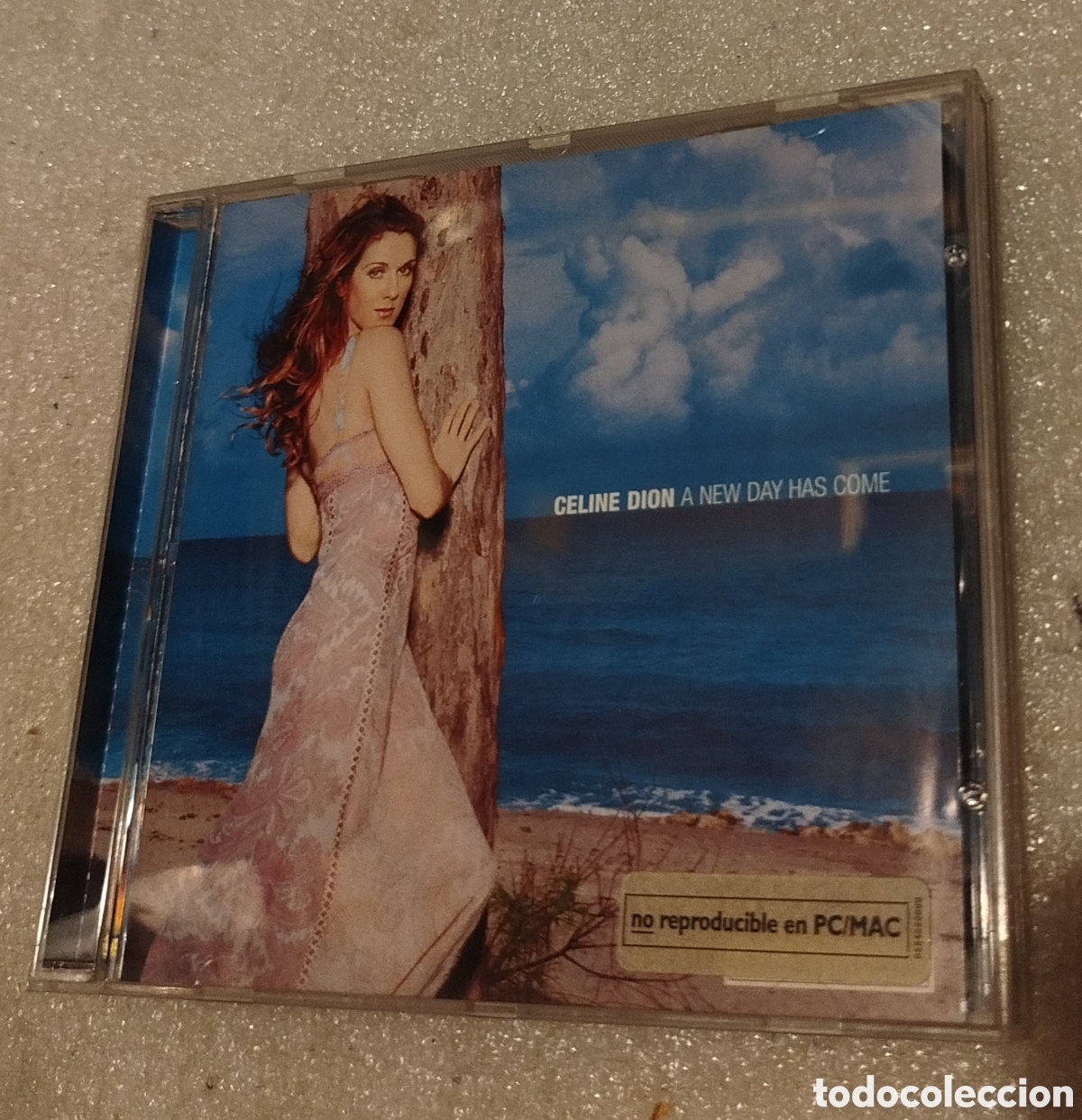 CDs de M&uacute;sica: Celine Dion - A New Day Has Come