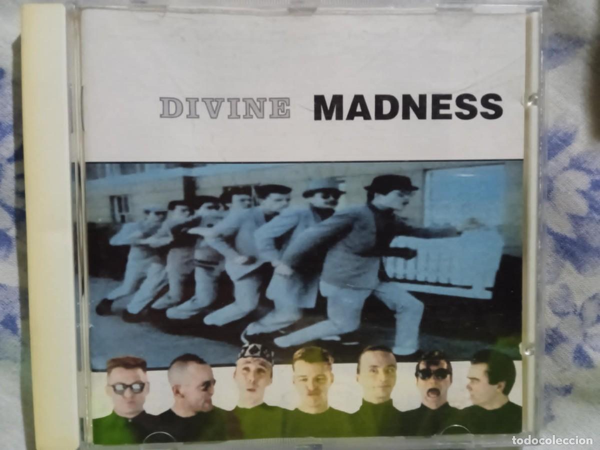 CDs de M&uacute;sica: madness - divine - cd - ska