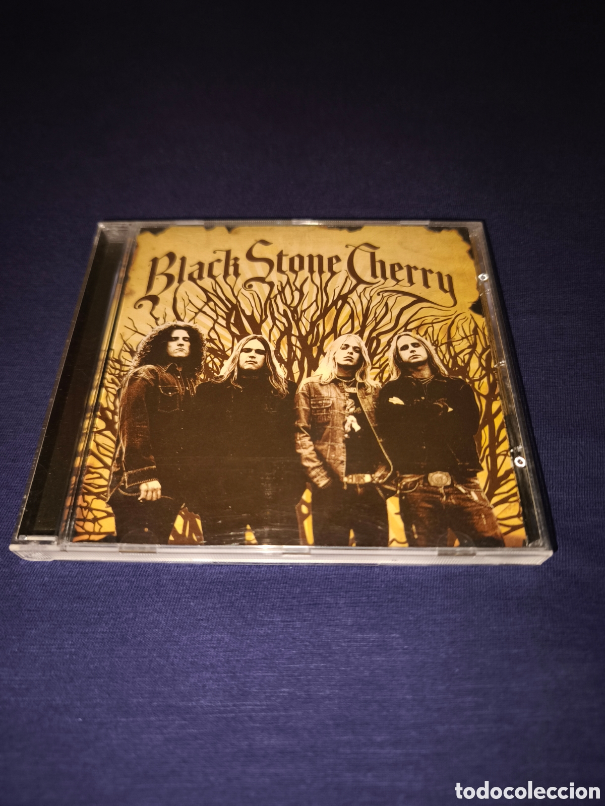 CDs de M&uacute;sica: Black Stone Cherry CD Rock