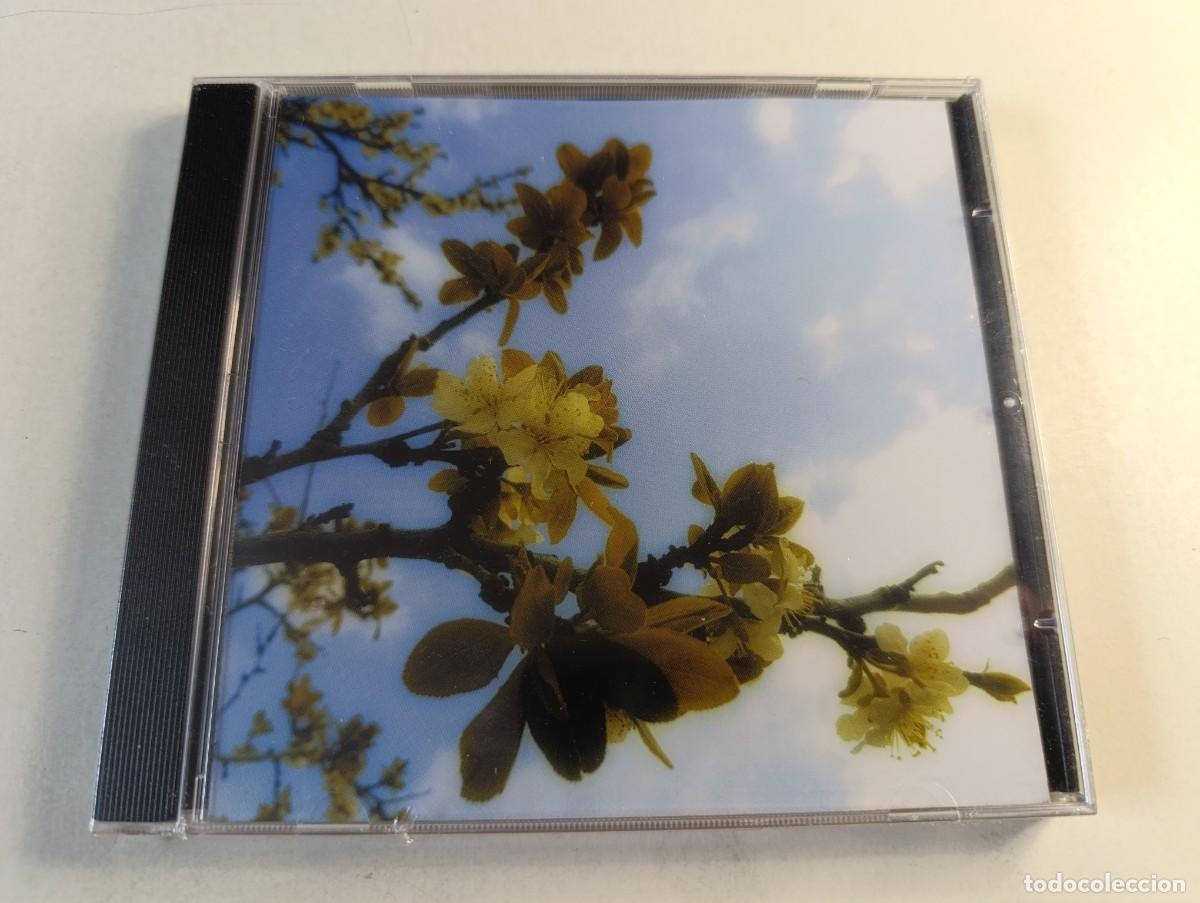 CDs de M&uacute;sica: THE LAZY JEANS 'La Tierra Quemada' CD &Aacute;lbum NUEVO Precintado rock La Casa Con Ruedas DAIMIEL