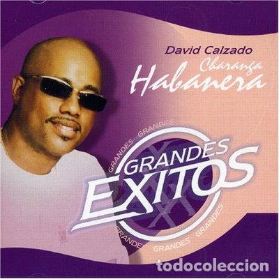 CDs de m&uacute;sica: Grandes Exitos- 8500001566090 - Foto 1