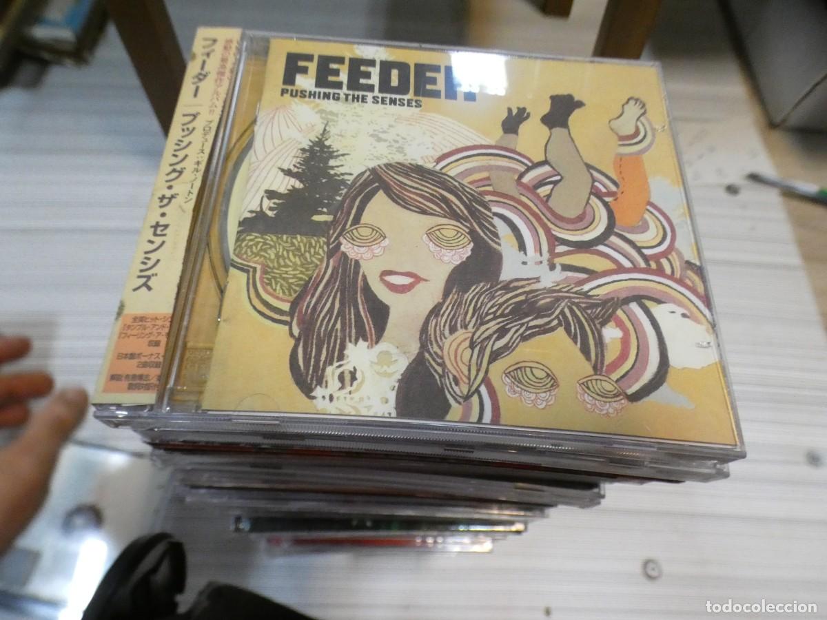 CDs de Musique: ARKANSAS1980 CAJJ705 COMPACT DISC BUEN ESTADO FEEDER