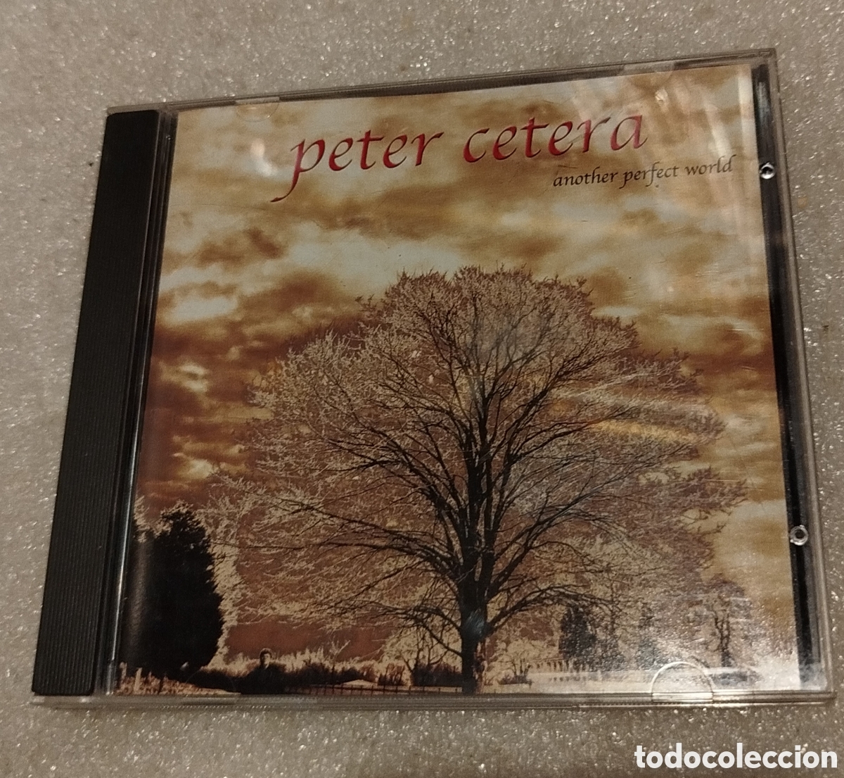 CDs de m&uacute;sica: Peter Cetera - Another perfect world - Foto 1