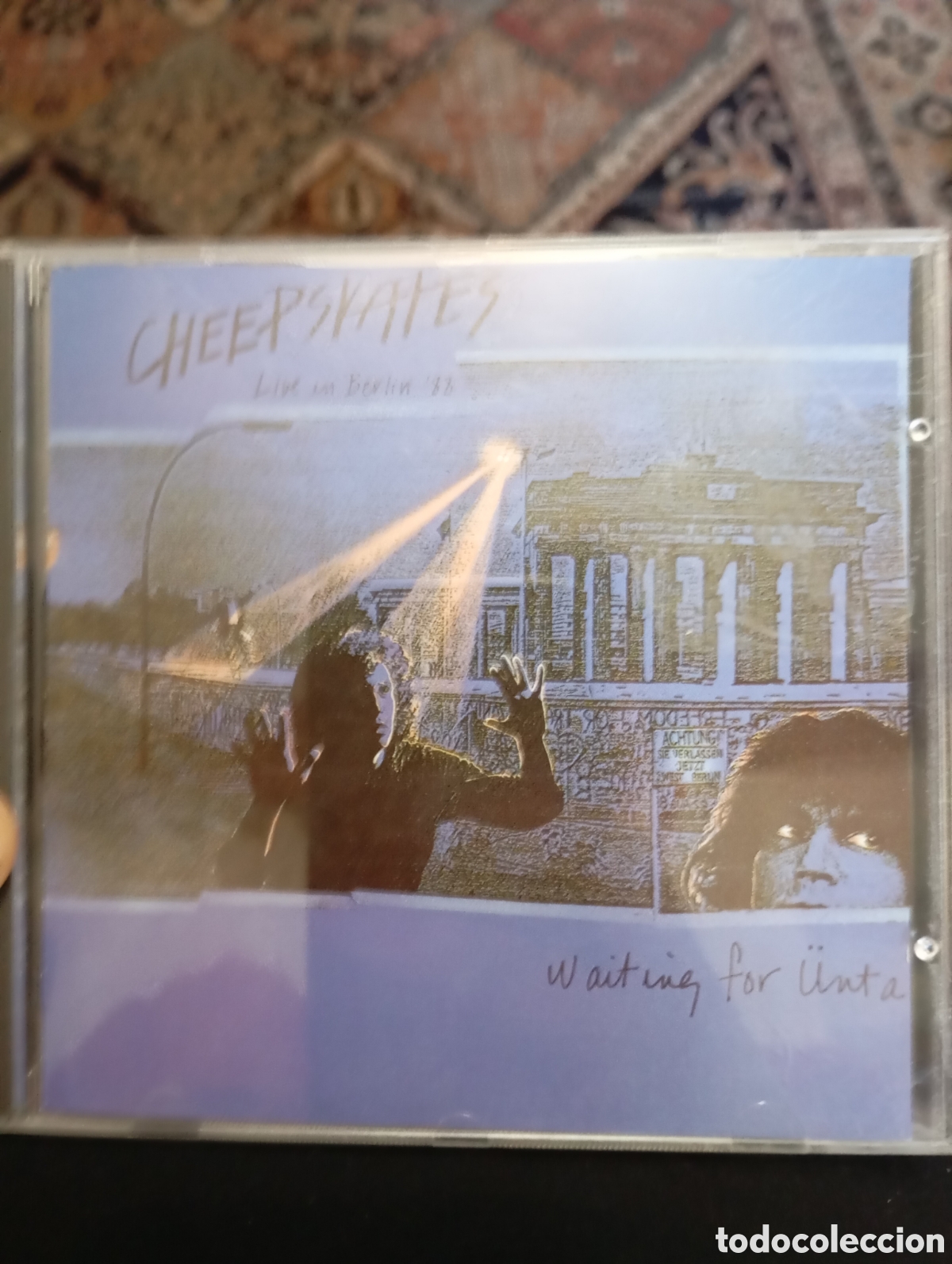 CDs de M&uacute;sica: CD Cheepskates waiting for unta