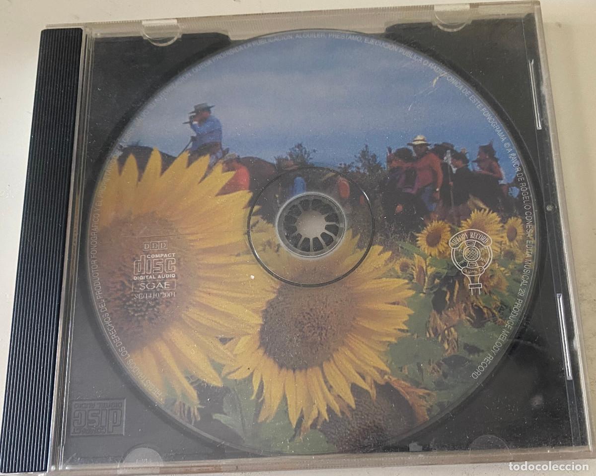 CDs de M&uacute;sica: 'Al comp&aacute;s del Roc&iacute;o'. Sevillanas y rumbas. Solera 4, Marisma, Pareja Obreg&oacute;n, etc. Sin car&aacute;tula.