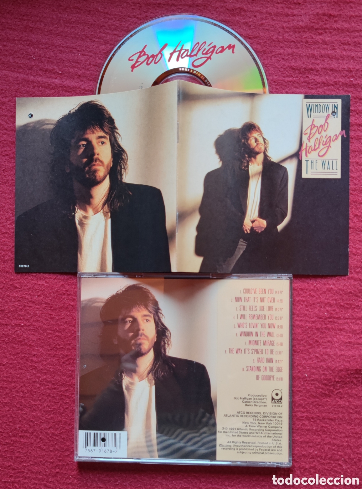 CDs de M&uacute;sica: BOB HALLIGAN: Window In The Wall. Cd Aor, Edici&oacute;n Original 1991 Atlantic Records. Muy raro en Cd.