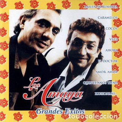 CDs de M&uacute;sica: Grandes &eacute;xitos- 8423646370603