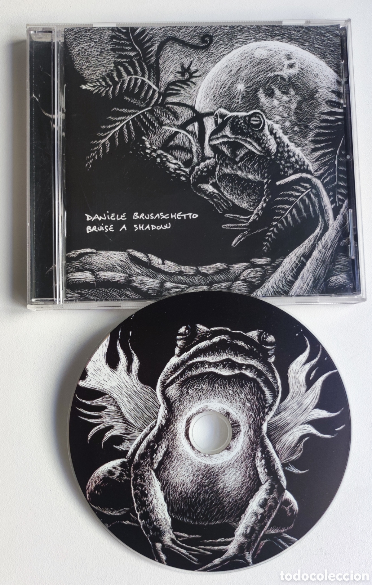 CDs de M&uacute;sica: METAL CD - DANIELE BRUSASCHETTO / BRUISE A SHADOW - WORMHOLEDEATH