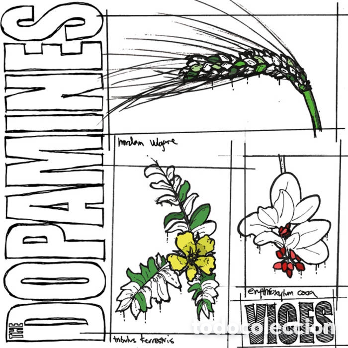 CDs de m&uacute;sica: The Dopamines - Vices CD - Foto 1