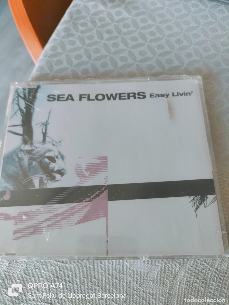 CDs de M&uacute;sica: RAR MAXI CD. SEA FLOWERS. EASY LIVIN'. 4 TRACKS. MADE IN SPAIN. DANCE