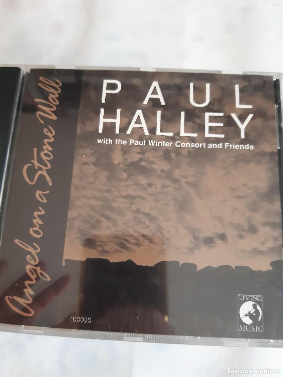 CDs de M&uacute;sica: PAUL HALLEY ANGEL ON A STONE WALL CD