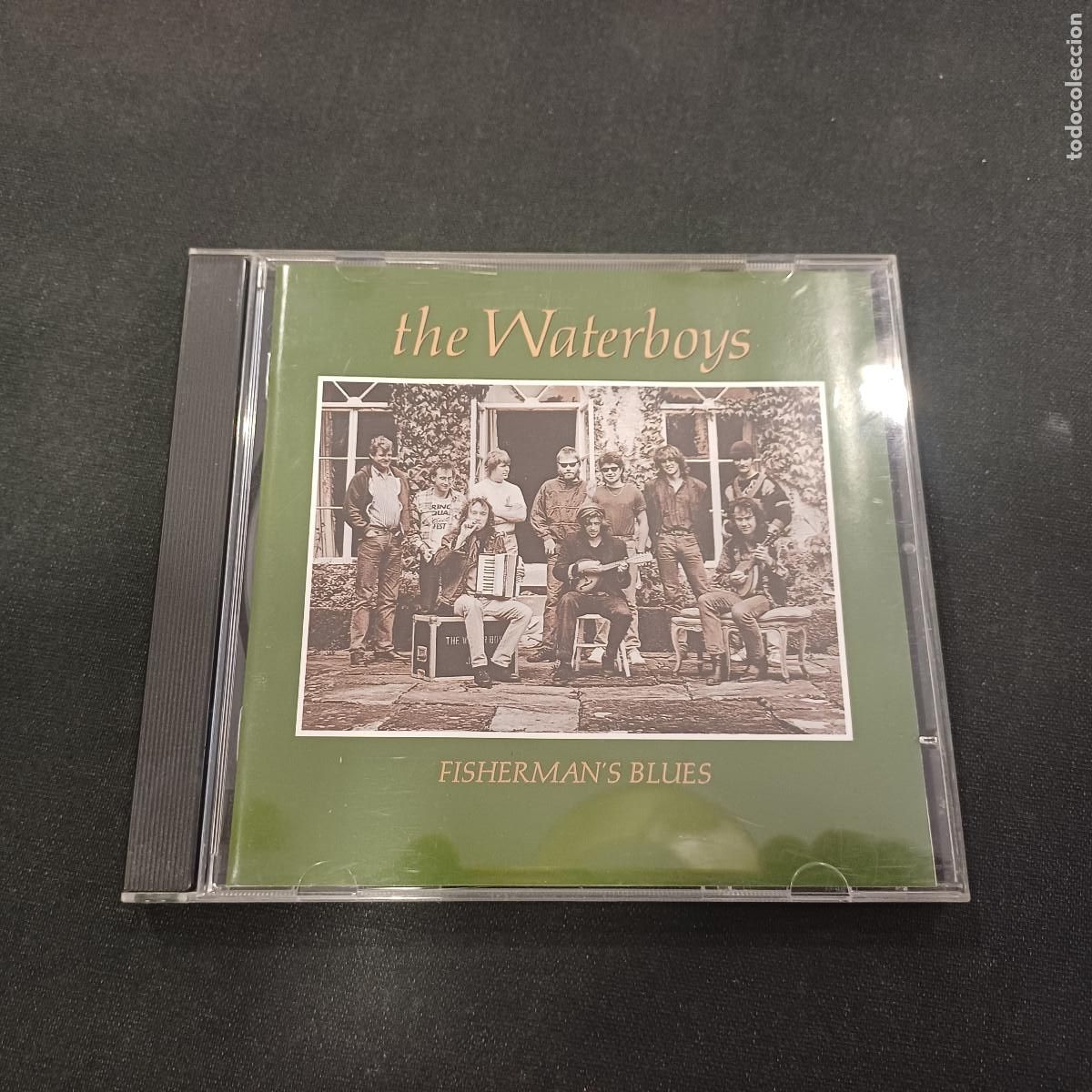 CDs de M&uacute;sica: THE WATERBOYS/FISHERMAN'S BLUES/CD.