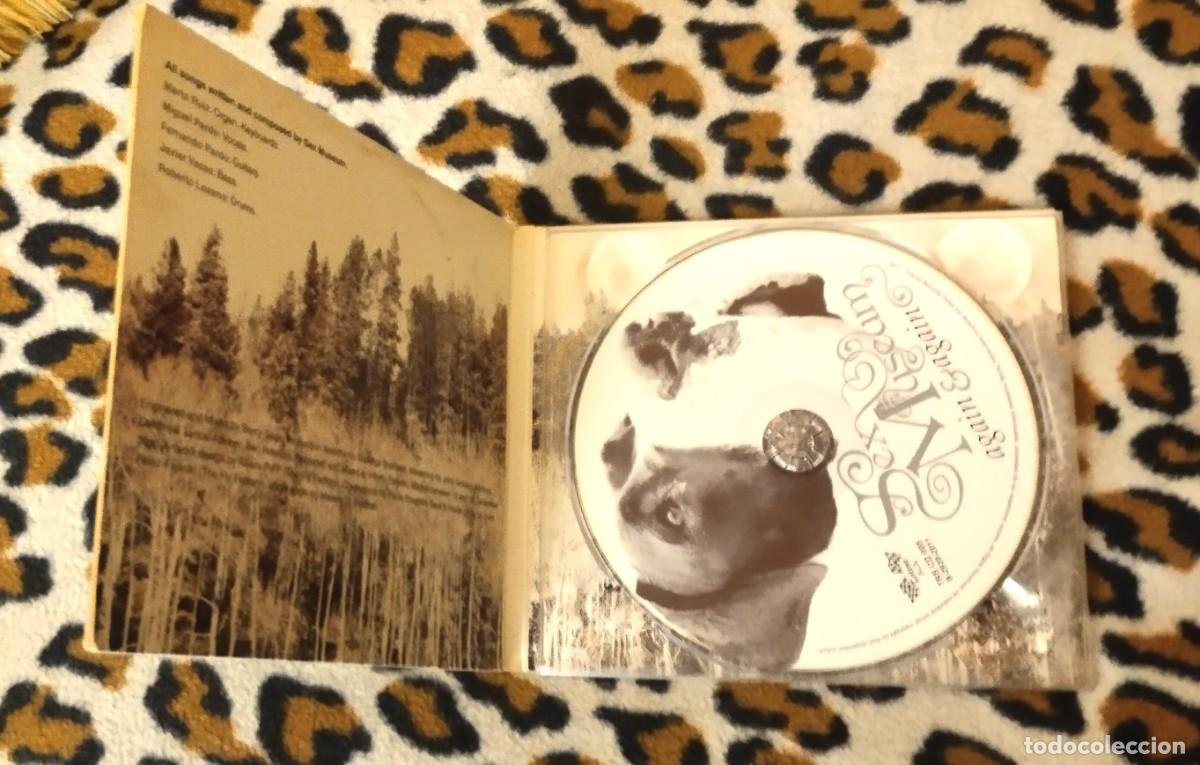 CDs de m&uacute;sica: SEX MUSEUM - AGAIN & AGAIN - CD - Foto 2
