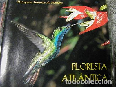 CDs de m&uacute;sica: Floresta Atl&acirc;ntica- 7893524000013