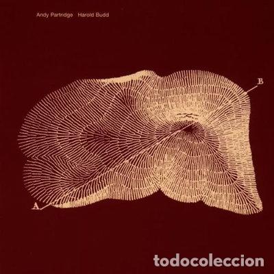 CDs de m&uacute;sica: Through the Hill- 5023701002123