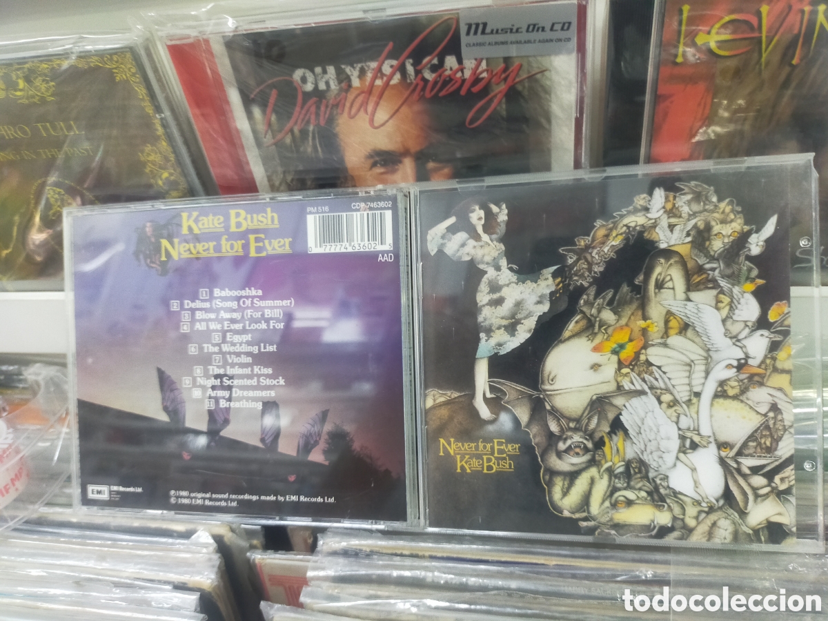 CDs de m&uacute;sica: Kate Bush CD never for ever