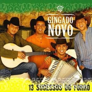 CDs de m&uacute;sica: Gingado Novo - 13 Sucessos Do Forr&oacute;- 5604081328906