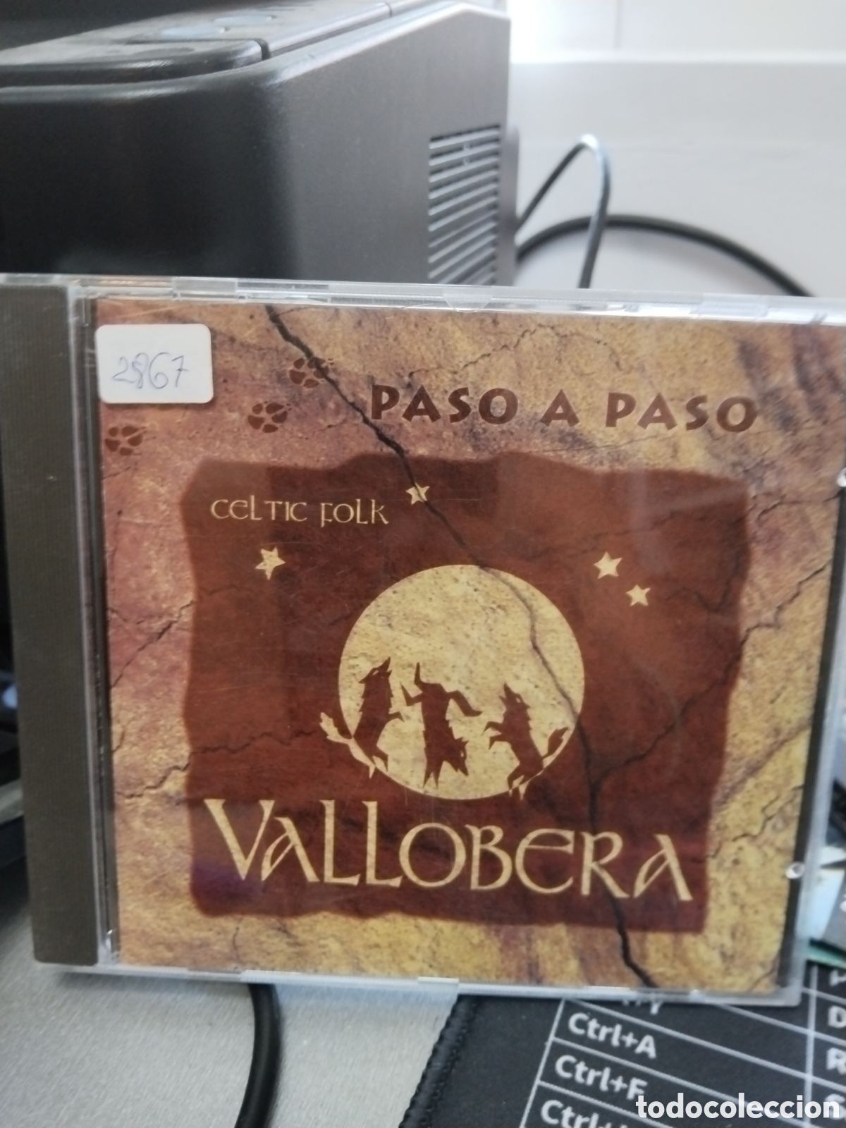 CDs de m&uacute;sica: Vallobera paso a paso Celtic folk