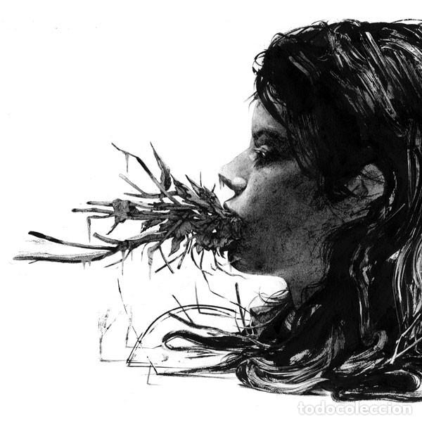 CDs de m&uacute;sica: CD PARENTHETICAL GIRLS - Entanglements - Tomlab 2008 - TOM 120 CD (NM/NM)