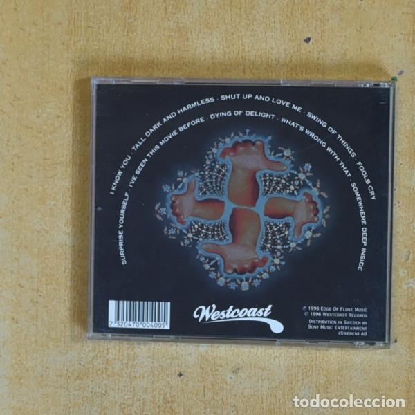 CDs de m&uacute;sica: FEE WAYBILL - DONT BE SCARED BY THESE HANDS - CD - Foto 2