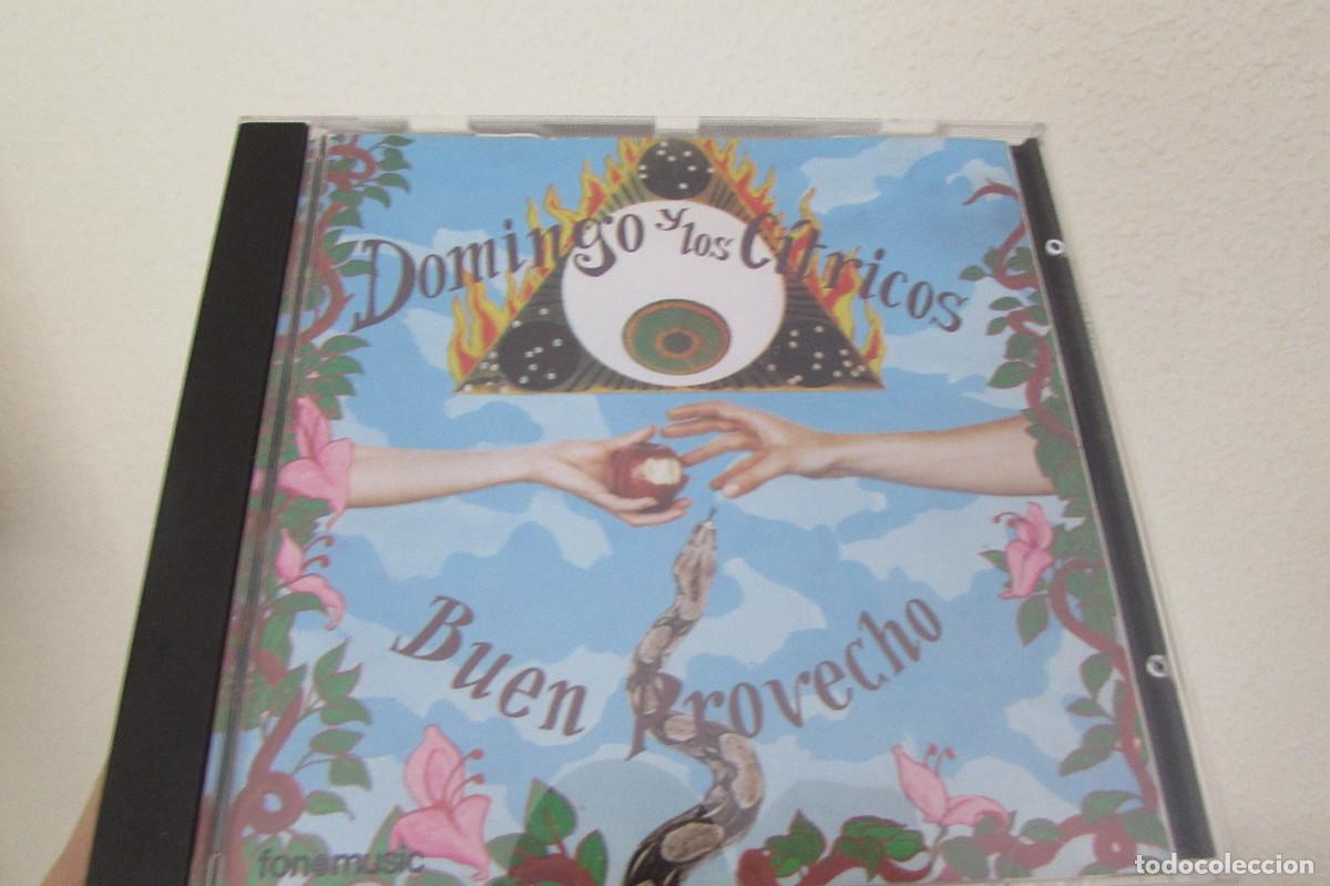CDs de m&uacute;sica: Domingo y Los C&iacute;tricos &ndash; Buen Provecho
