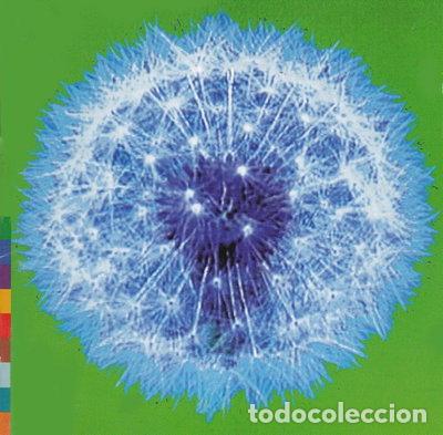 CDs de m&uacute;sica: A Week Or Two In The Real World- 0724383947928