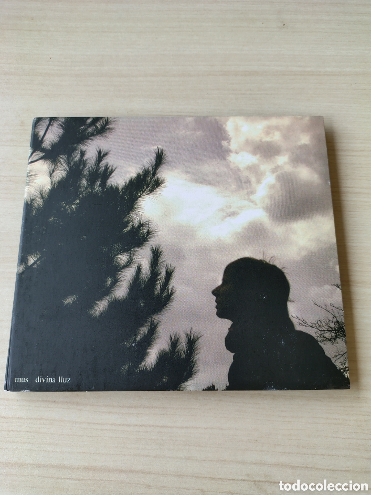 CDs de m&uacute;sica: MUS Divina Lluz ( 2004 ACUARELA SPAIN ) FRAN GAYO