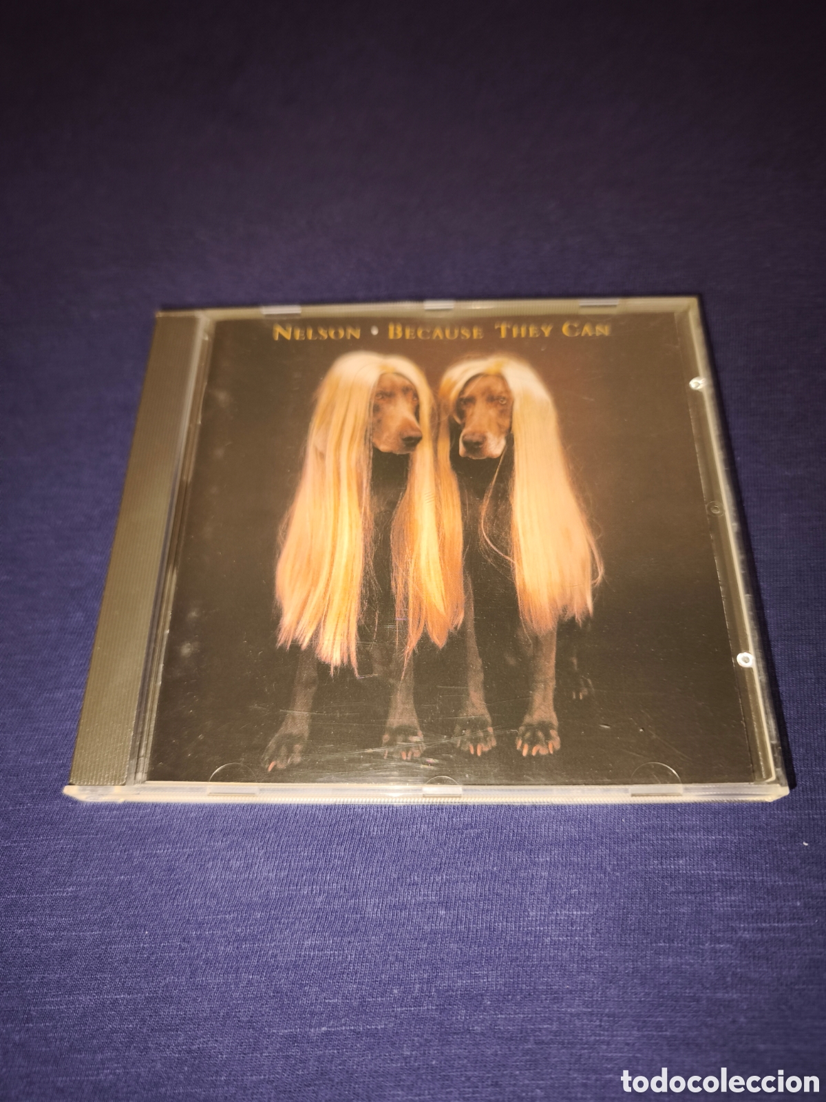 CDs de m&uacute;sica: Nelson Because they can