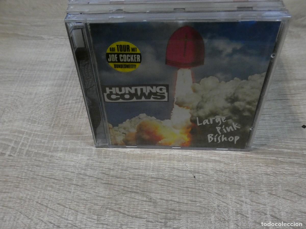 CDs de m&uacute;sica: ARKANSAS1980 BOXX746 CD BUEN ESTADO HUNTING COWS