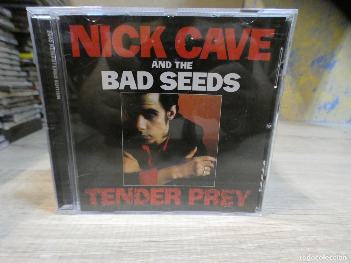 CDs de m&uacute;sica: ARKANSAS1980 BOXX746 CD BUEN ESTADO NICK CAVE AND THE BAD SEEDS