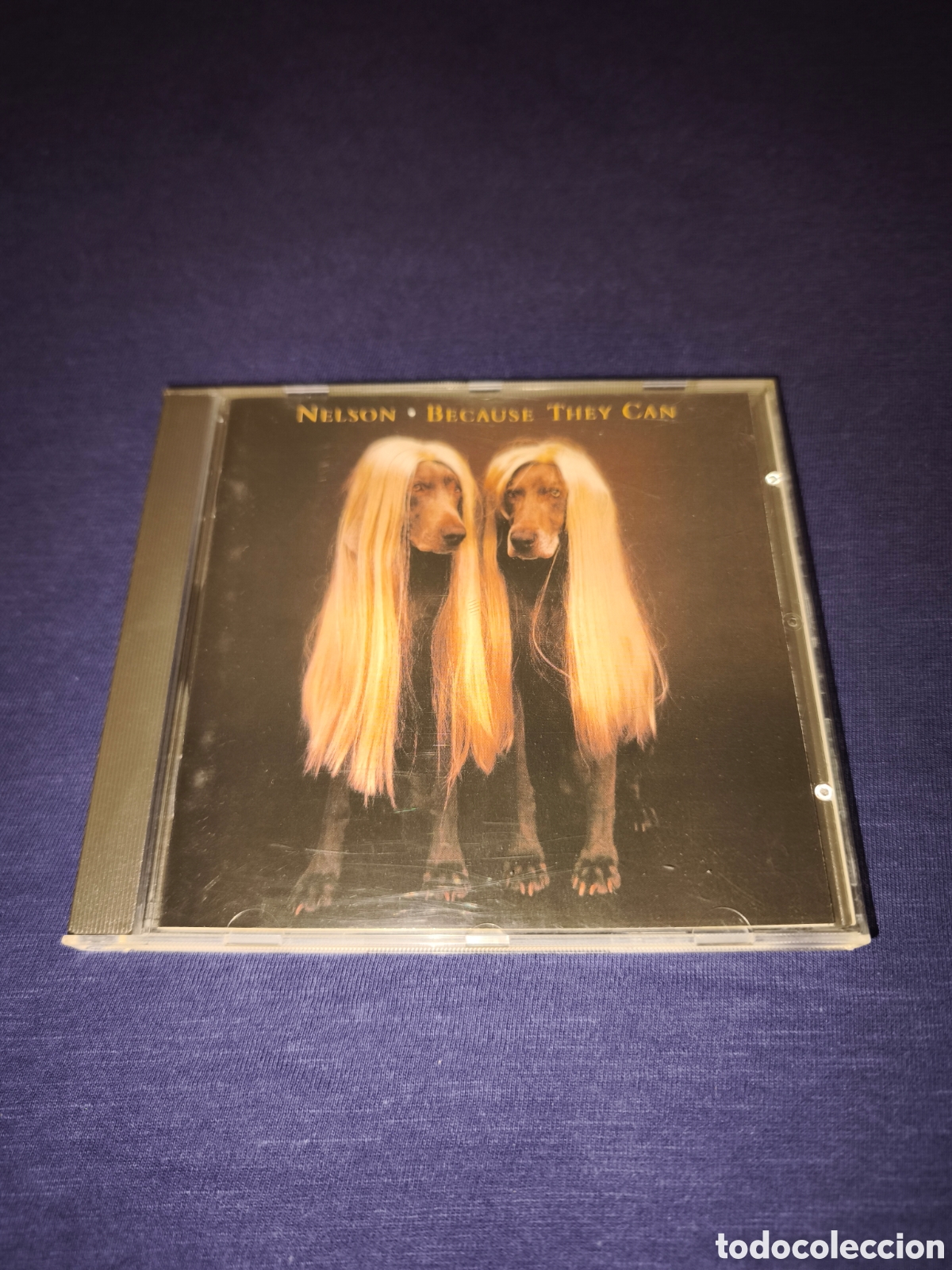 CDs de m&uacute;sica: Nelson Because they can
